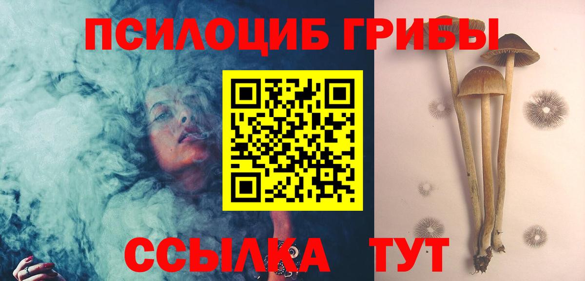 Галлюциногенные грибы GOLDEN TEACHER Волгоград
