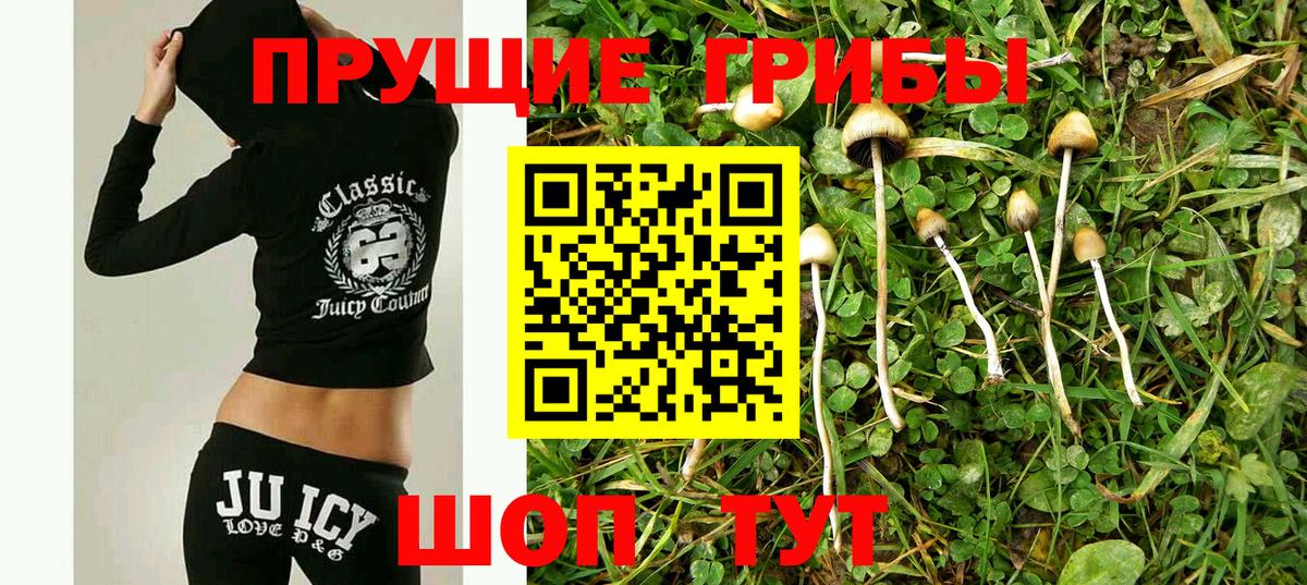 Галлюциногенные грибы мицелий  Вход с VPN  Галлюциногенные грибы MAGIC MUSHROOMS  Волгоград 
